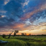 Moremi, Botswana - Hein waschefort | namasteviajes.com