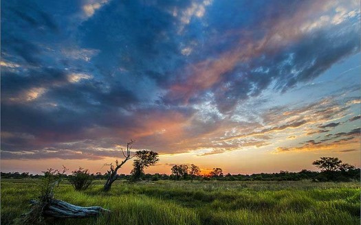 Moremi, Botswana - Hein waschefort | namasteviajes.com