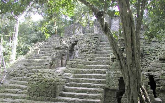 Parque Nacional de Tikal, Guatemala - Aquaimages | namasteviajes.com