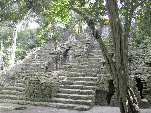 Parque Nacional de Tikal, Guatemala - Aquaimages | namasteviajes.com