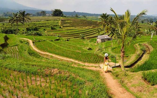 Campos de arroz de Jatilwih, Bali (Indonesia) - Paxson Woelber | namasteviajes.com