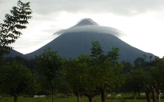 Volcán Arenal, Costa Rica - Veronidae