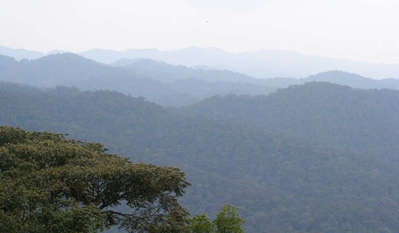Montañas Parque Nacional Bwindi, Uganda - tajai de malaysia Creative Commons Atribución 2.0 Genérica | namasteviajes.com